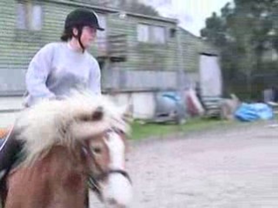 princesse obstacle