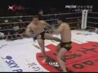 mirco cro cop