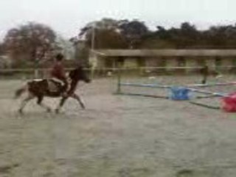 Kaputchi 1