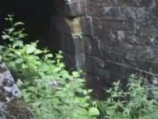 Reperage Forester partie 2 - 2/2