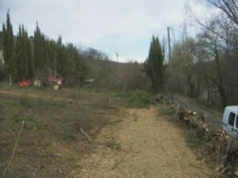 broyage de cyprès