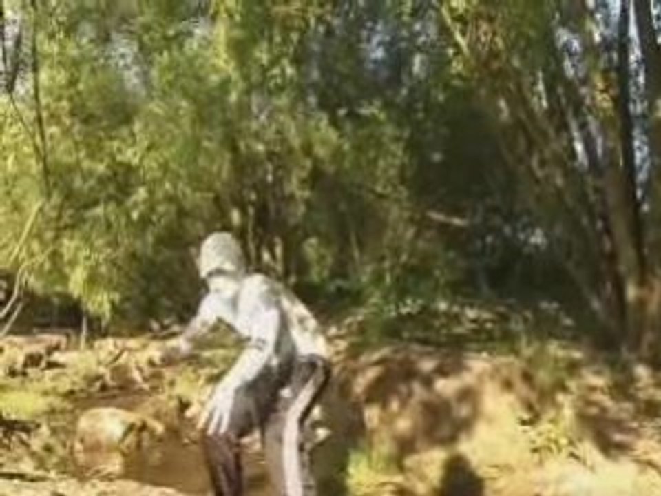 Daddy Mory, Mad Killah... - Universal Dancehall