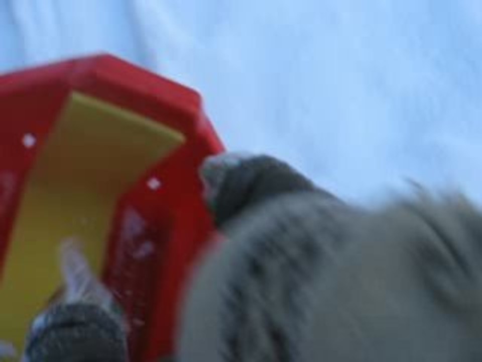 Novembre 2008 069