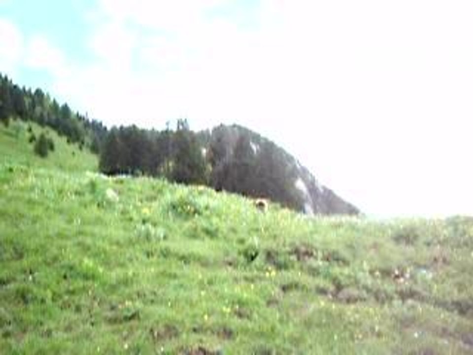 descente