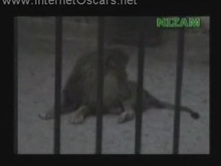 Yarabbi sen ne büyüksün