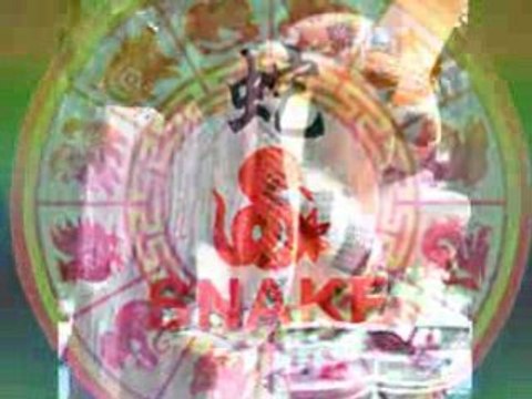 Chinese Zodiac 12 Animals Symbols