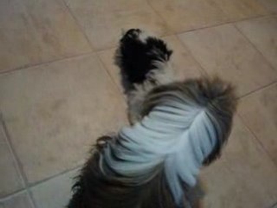 Vidéo 077