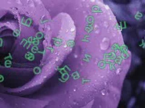 Nikos Vertis Kane me na semiso / Превод /