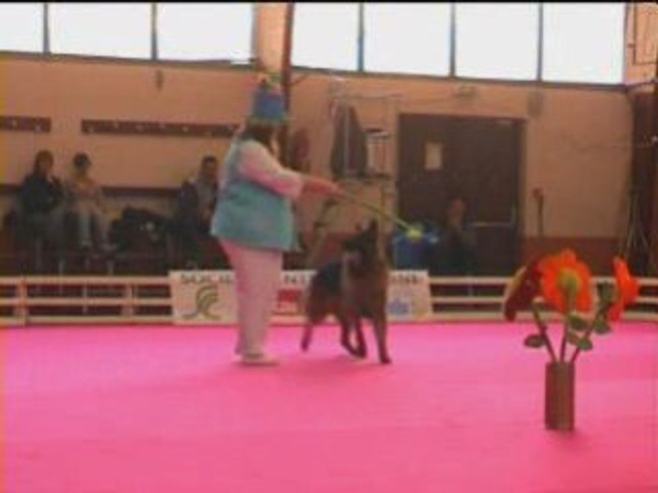 GPF 2008 8