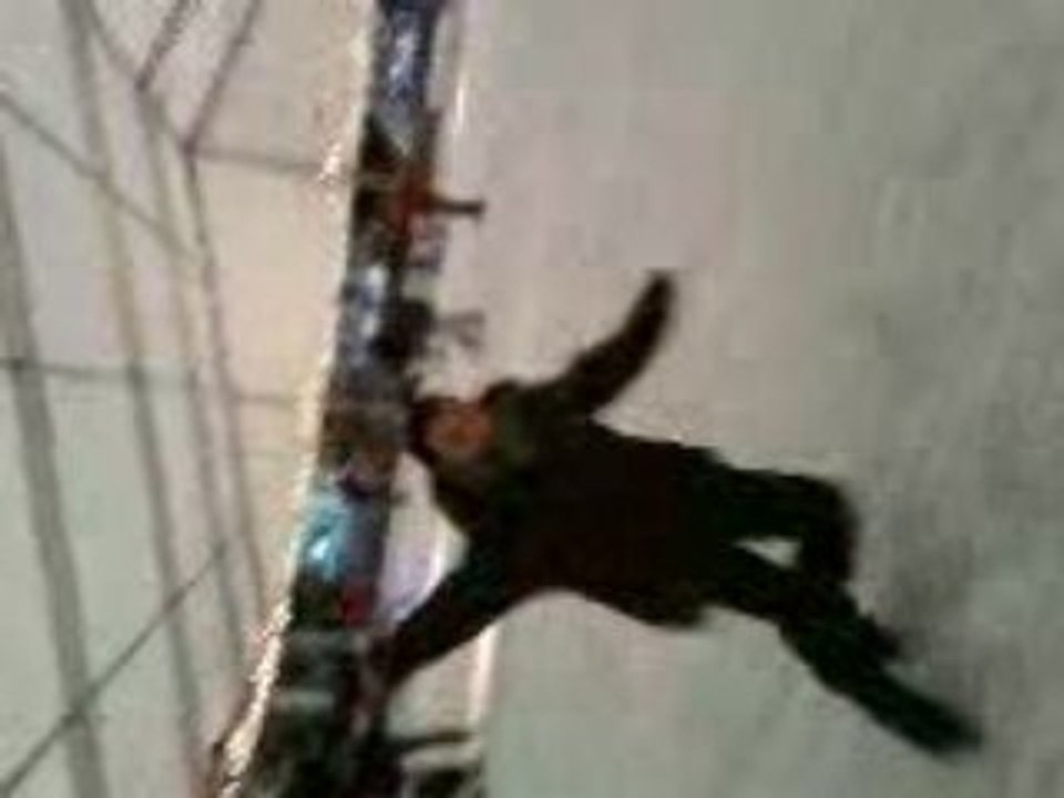 Gabin le kon