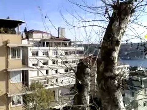 Bebek arifi pasa korusu boğaz manzarası