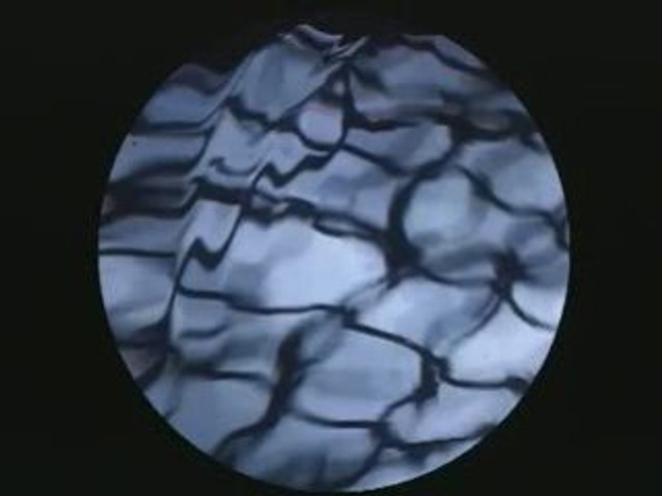 Untiefenshärfe- unforthomable_VEIT LUP
