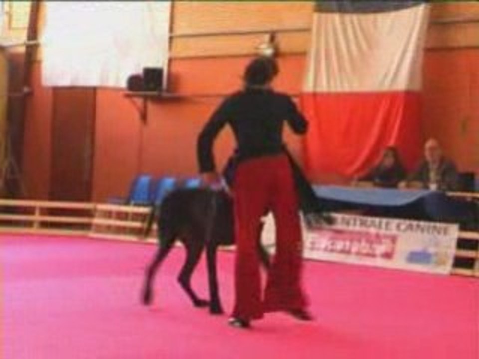 GPF 2008 19