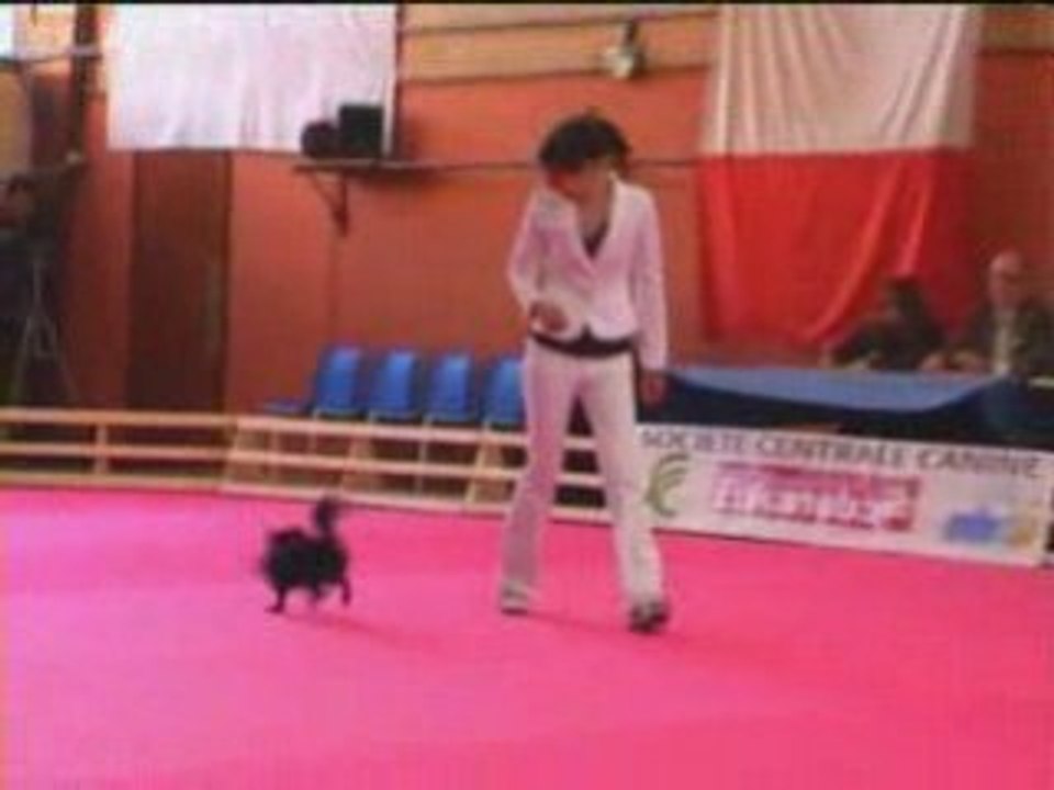 GPF 2008 22