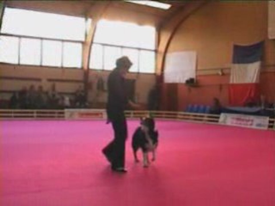 GPF 2008 21