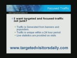 Targeted Web Site Traffic