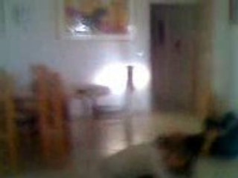 Moto_0140