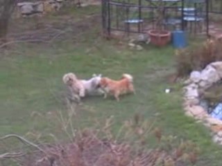 LES VACANCES DE MONSIEUR UBU