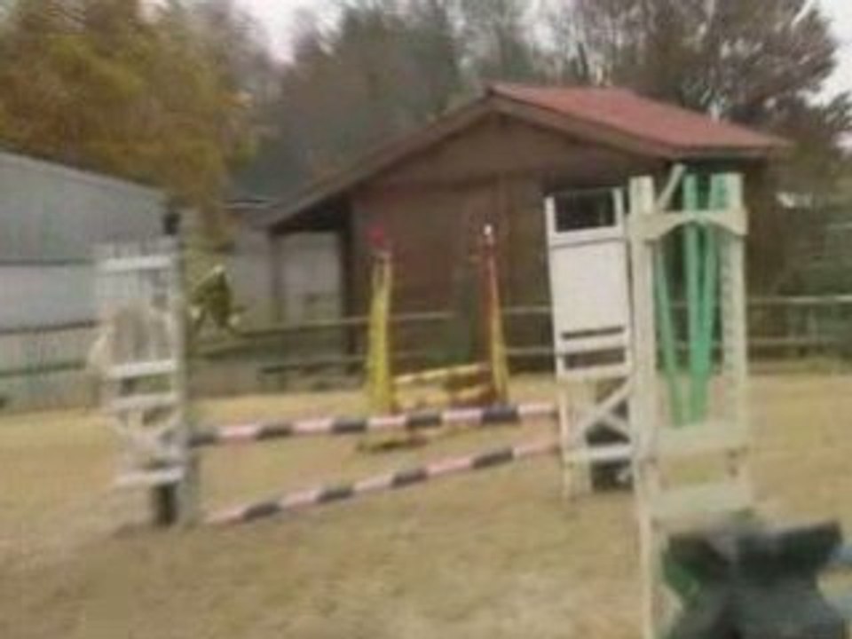 Maurine et Max, 16.11.08, Ste Luce sur Loire Club 4