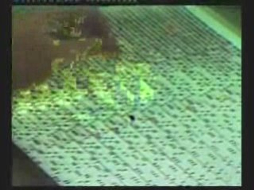 La Chute du Darwinisme part 2/4