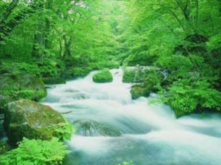 FUNK69330.skyrock.com ..!!!-69($$ TAM'$ $$)69-!!!..