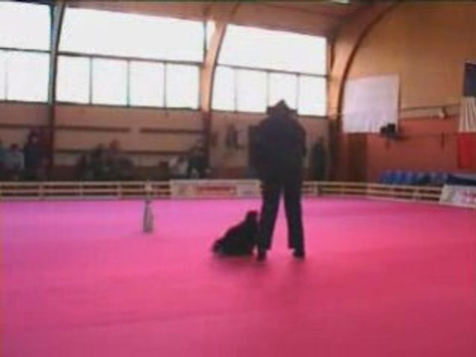 GPF 2008 23