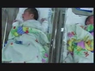 "על שיבוט בני אדם, עכברים ונשמות חופשיות"