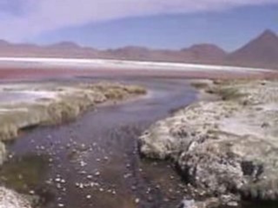 Altiplano color