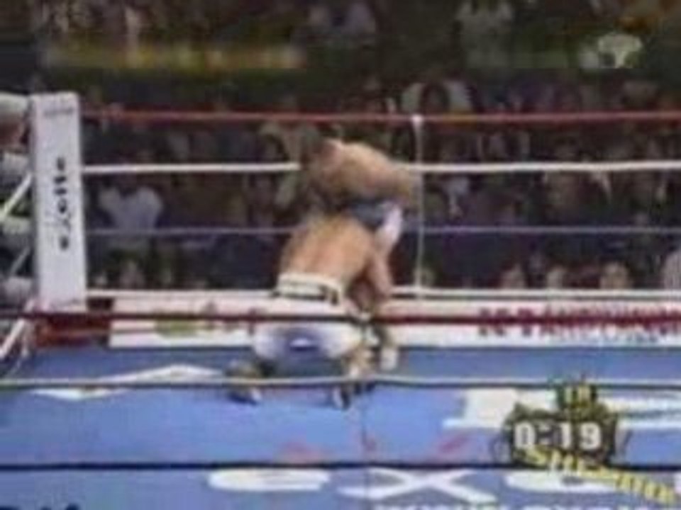un fou de boxe
