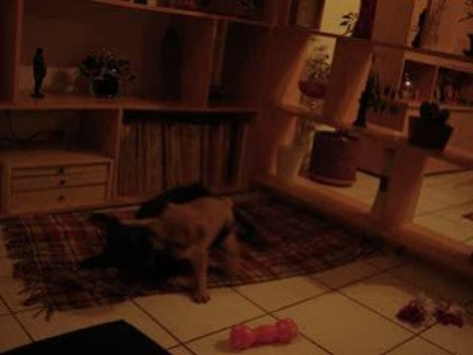 diego et nina