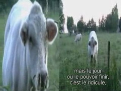 Un jour on rit, Un jour on pleure Ledoux paradis