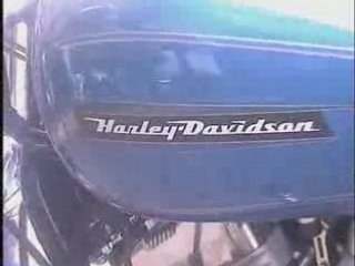 Harley Davidson clip
