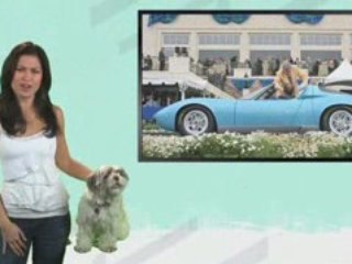 Bailout, Fisker Karma, Muira Convertible, Ford Taurus, ...