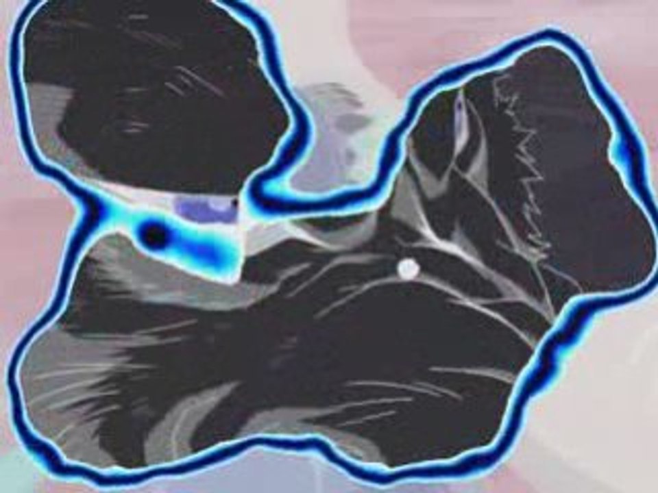 Wolf's rain- runaway