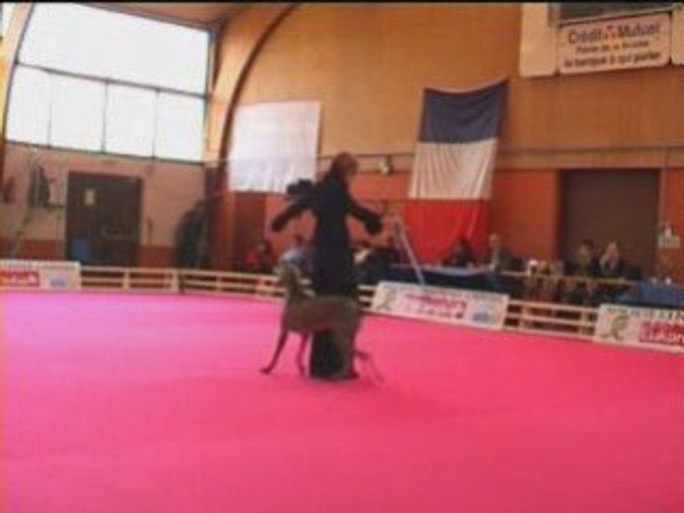 GPF 2008 27
