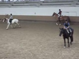 Chv Marion et Mika Chute