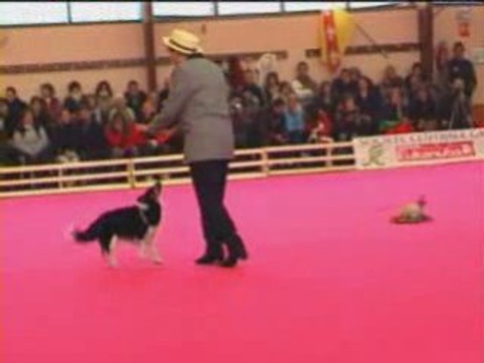 GPF 2008 32
