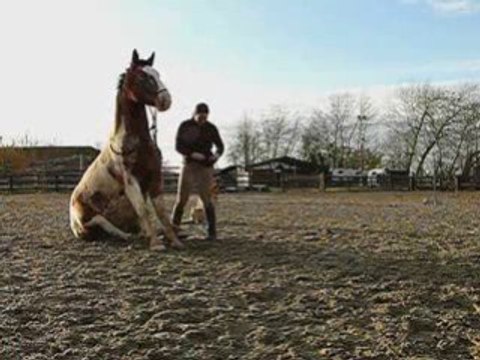 Nouveaux exos Malcom