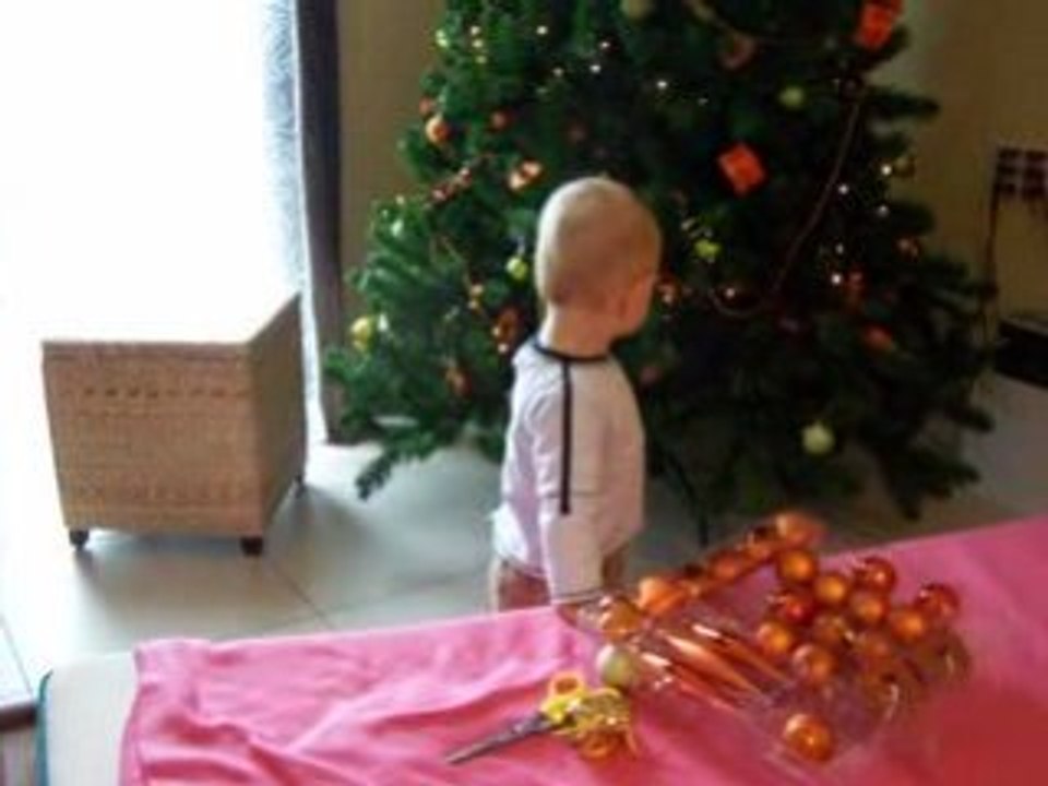 Sapin