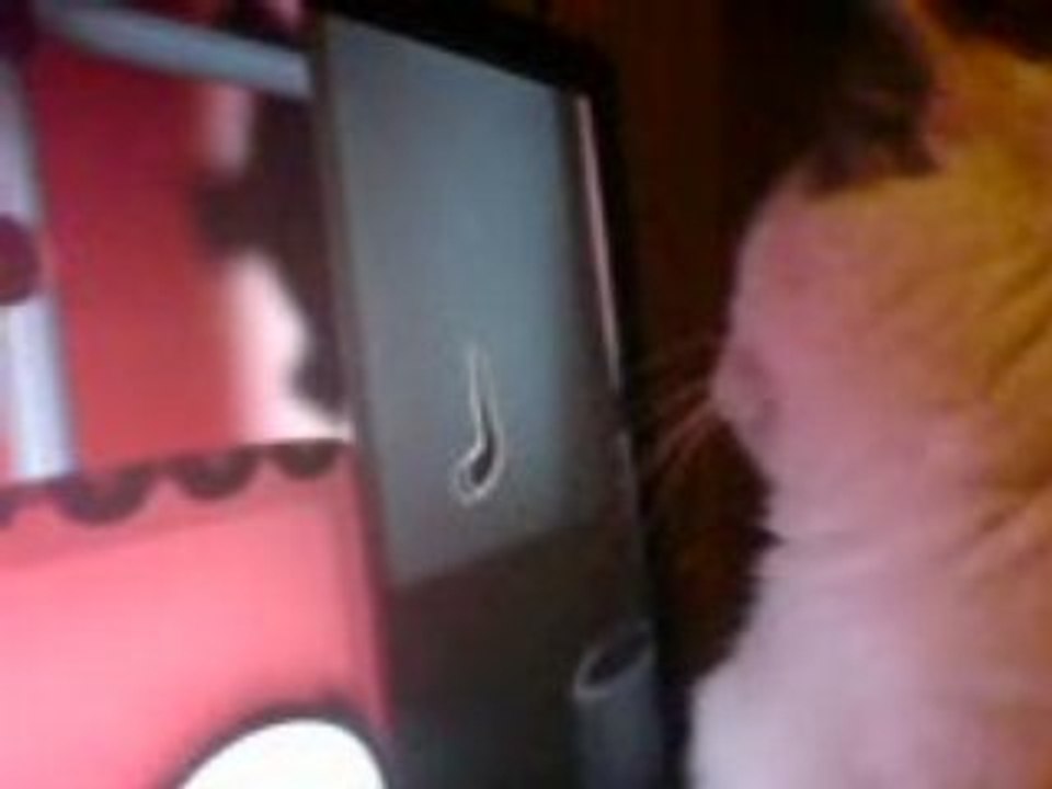 Mirri plays Goo!!