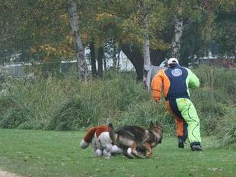 Campagne - Portos dit Ralph à Villers Saint Paul