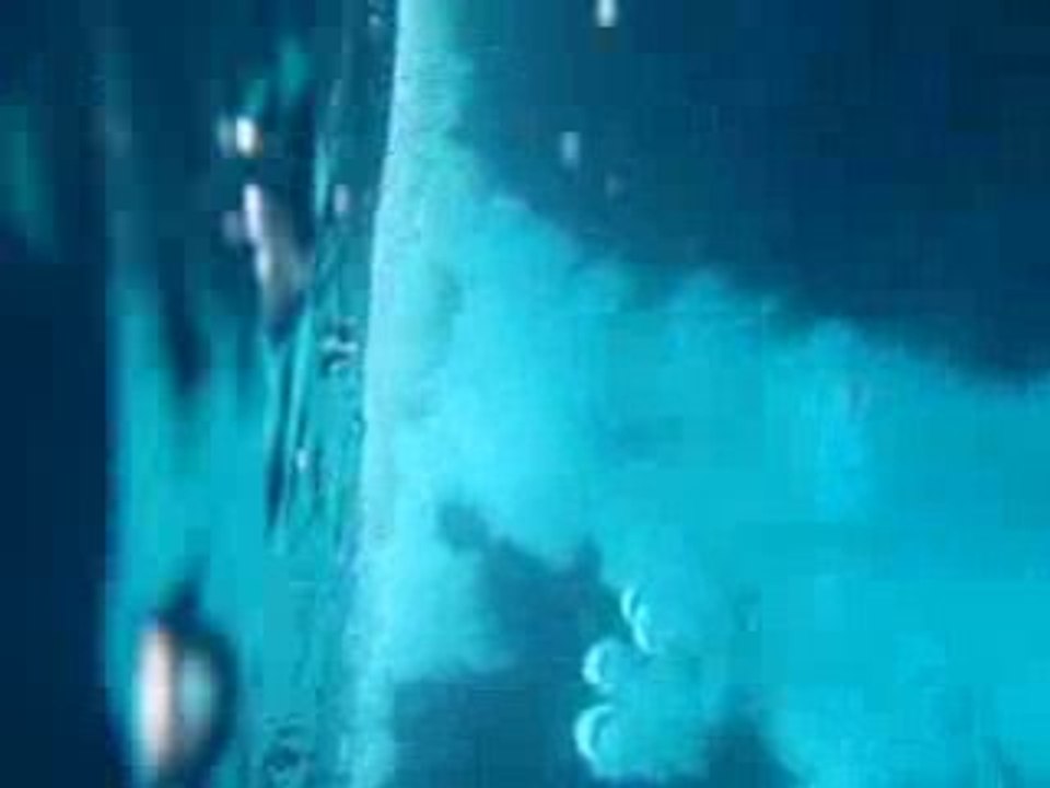 Jump session , Calanques marseille / cassis