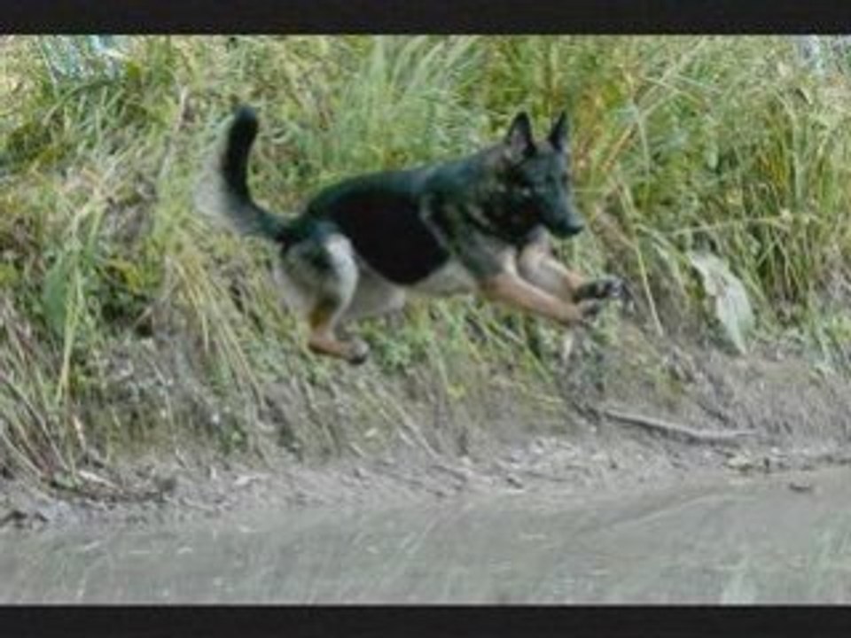 Campagne - Vika à Villers Saint Paul