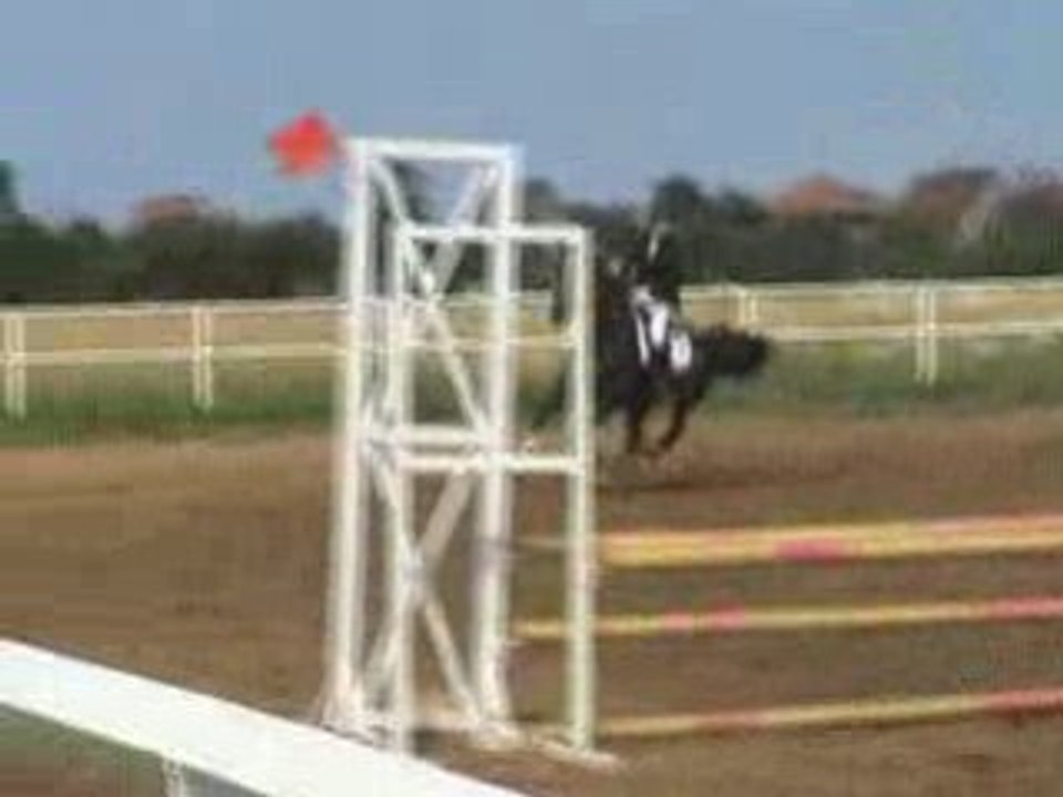 Fanfan et loulou