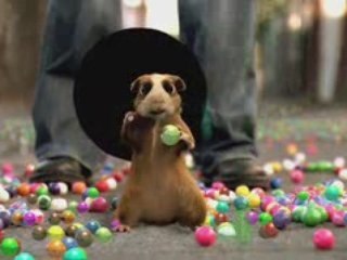 Adam Sandler and Russell Brand hand with a hamster?