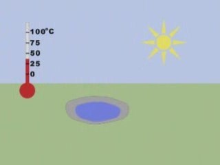 Water Cycle Video by Peter Weatherall