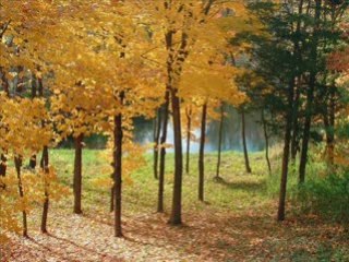 FUNK69330.skyrock.com ..!!!-69($$ TAM'$ $$)69-!!!..