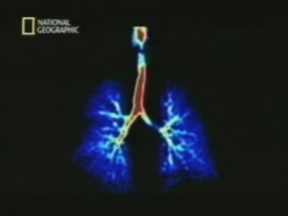 La respiracion