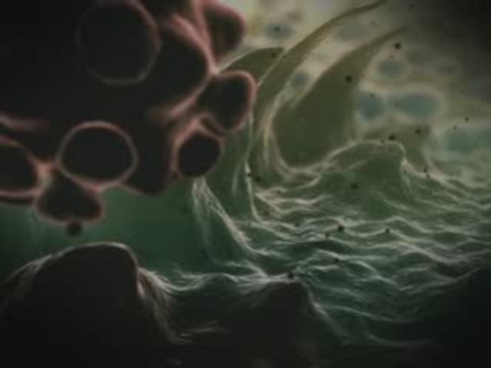 Bacterie