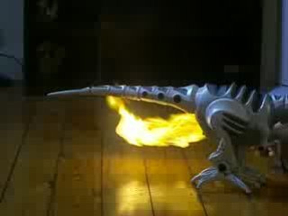 raptor perteur